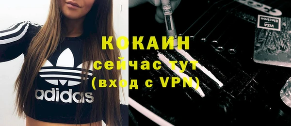 ГАЛЛЮЦИНОГЕННЫЕ ГРИБЫ Горно-Алтайск