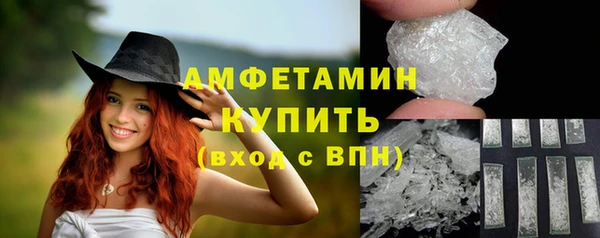 стаф Горняк