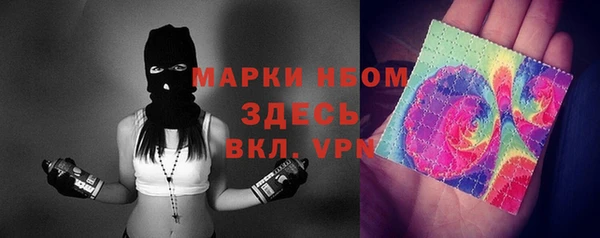 стаф Горняк