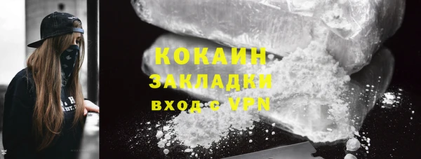 стаф Горняк