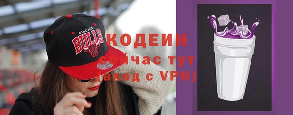 стаф Горняк