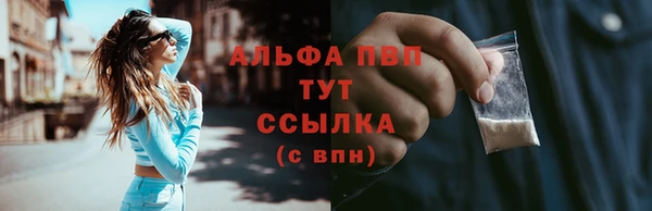 ГАЛЛЮЦИНОГЕННЫЕ ГРИБЫ Горно-Алтайск