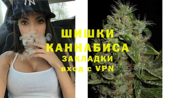 стаф Горняк