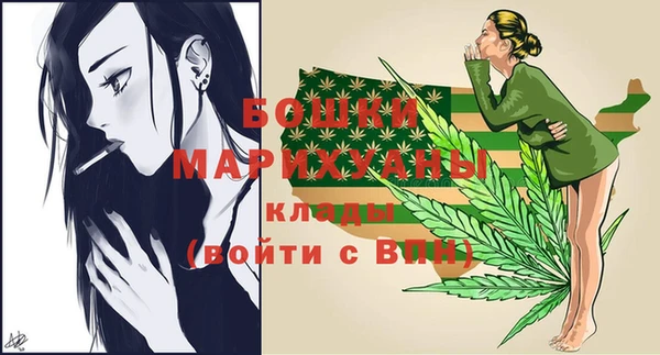 ГАЛЛЮЦИНОГЕННЫЕ ГРИБЫ Горно-Алтайск