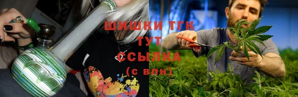 стаф Сосновка