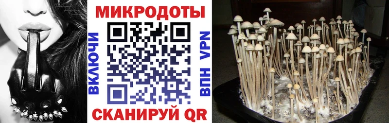 ОМГ ОМГ ONION Ангарск Галлюциногенные грибы Psilocybine cubensis