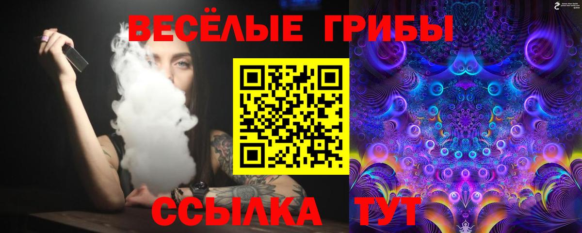 Ангарск  Псилоцибиновые грибы GOLDEN TEACHER  Вход с VPN  Псилоцибиновые грибы мухоморы 